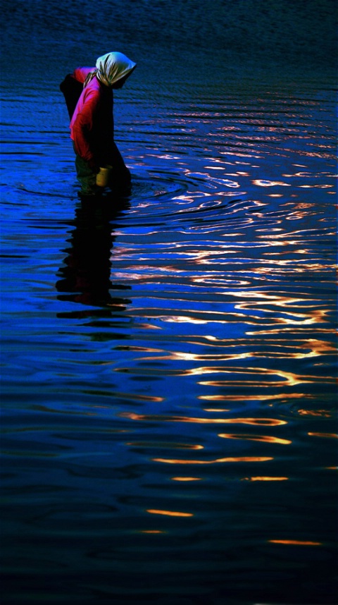 ~ SEARCHING ~