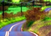 "The road fre...