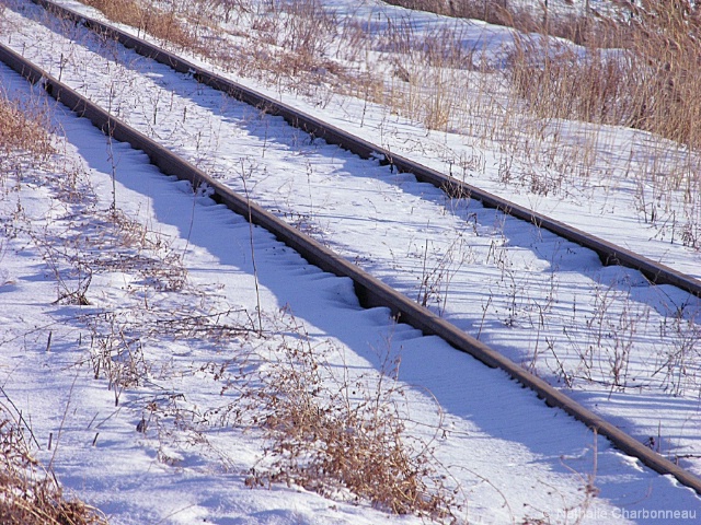 Winter Rail