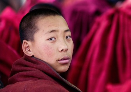 Young Tibetan Monk
