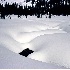 © Mike Keppell PhotoID # 4137405: Snow Contours, Canada