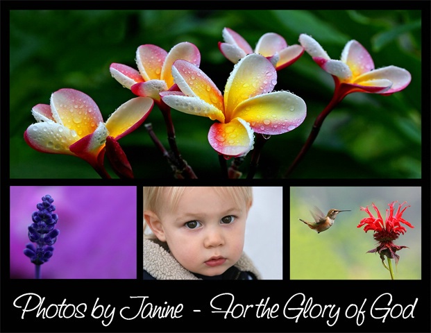 Welcome to photosbyjanine.com