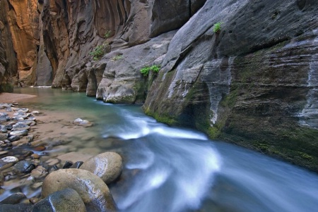 Virgin River Narrows