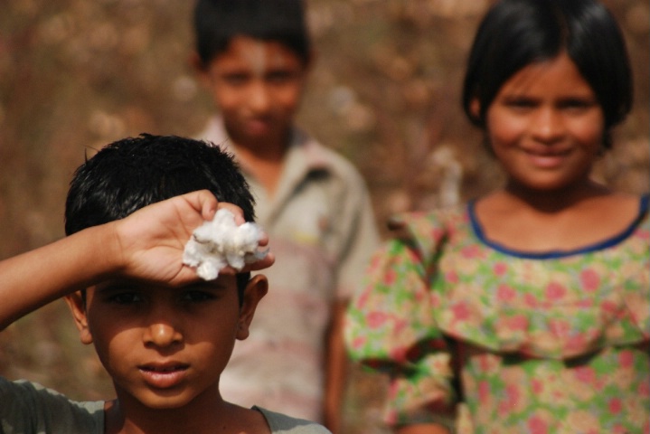 Children in cotton field