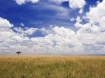 Masai Mara Space