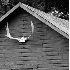 © James W. Betts PhotoID # 4162957: Maine Shed