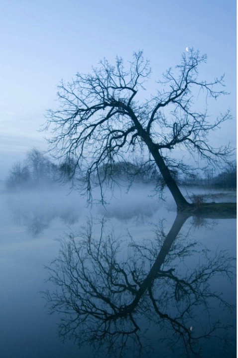 Dawn at Gallup Park - ID: 4162967 © Ann E. Swinford