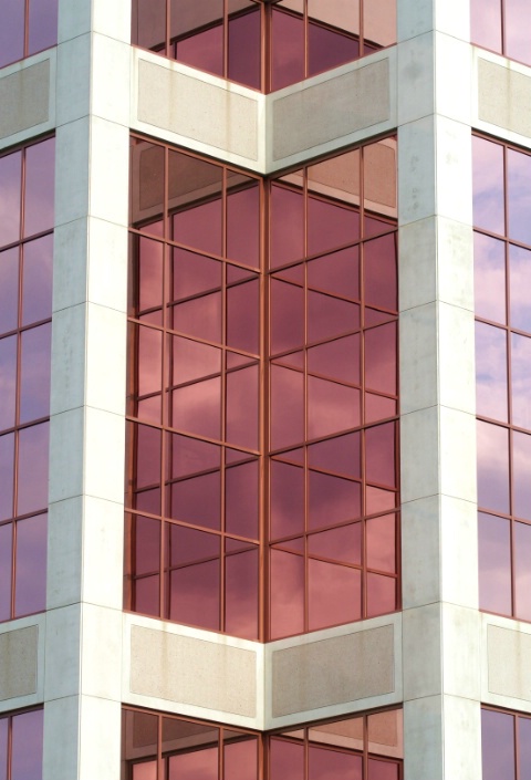 Rose Colored Glass