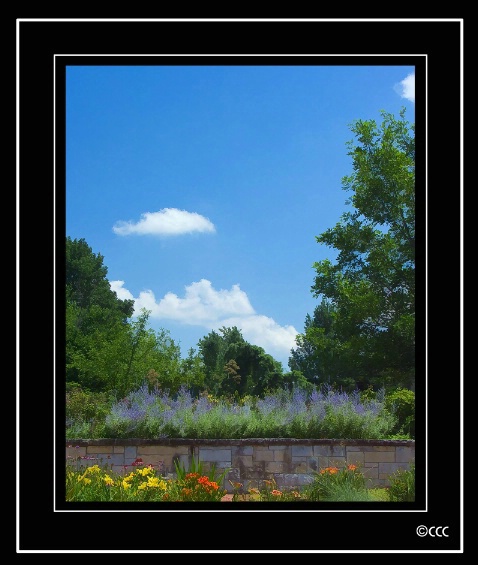 Perrennial Garden I - ID: 4188105 © Candice C. Calhoun