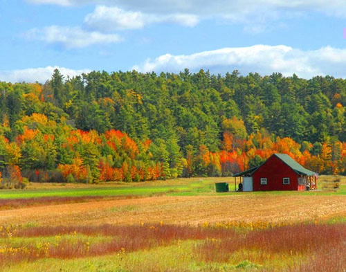 Red Barn. Naples, Maine. Harvest is over