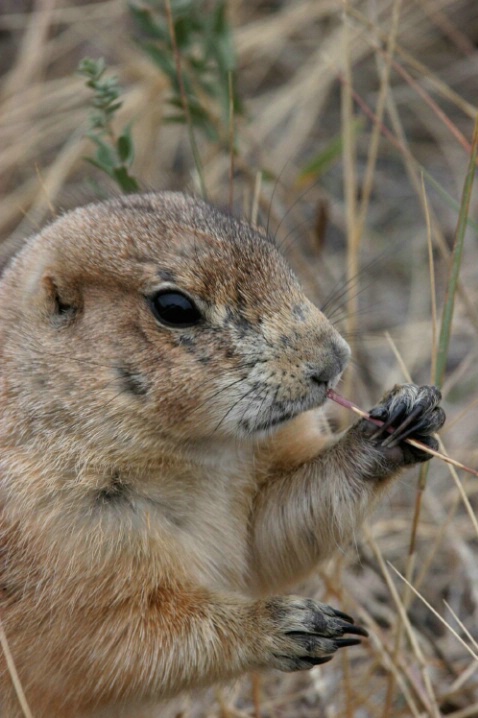 after_lunch - ID: 4191143 © Katherine Sherry