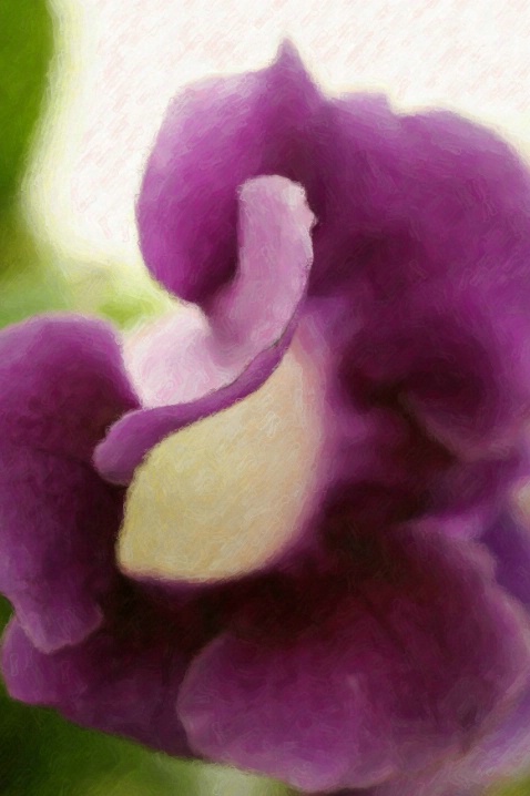 Purple Paint - ID: 4193864 © Agnes Fegan