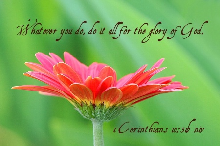 1 Corinthians 10:31b niv