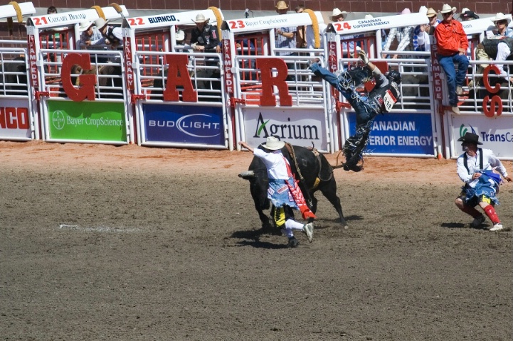 Bull Ridin and Cowboy Flyin