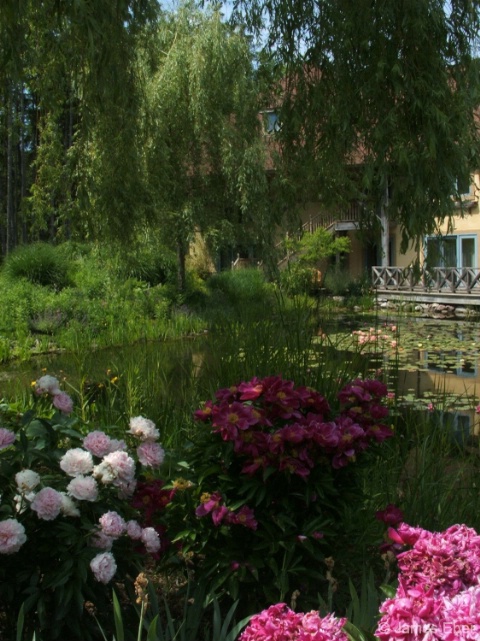 Monet's Garden @ Mirbeau