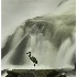 © Thomas A. Statas PhotoID # 4201469: Great Heron and Great Falls