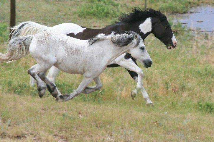 Running 