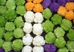 Colors of Caulifl...