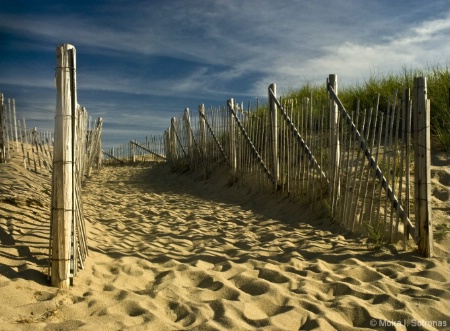 Cape Cod Beach ( rule of third landscape)