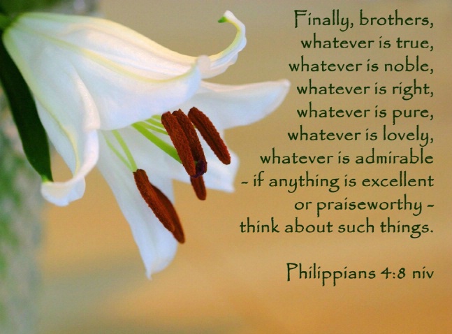 Philippians 4:8 niv - ID: 4210715 © Janine Russell