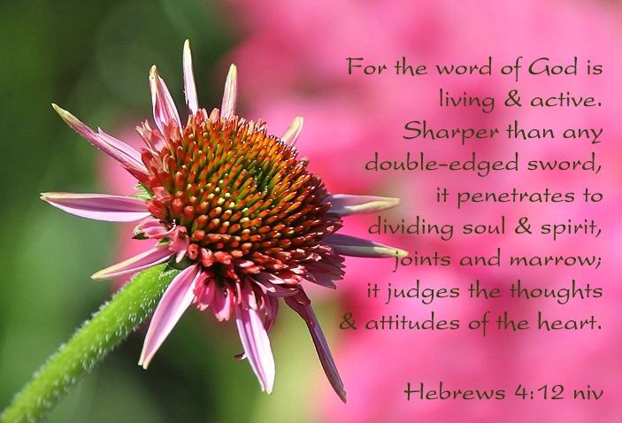 Hebrews 4:12 niv - ID: 4210723 © Janine Russell