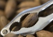 Sweet Nut Cracker