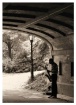 Central Park Blue...