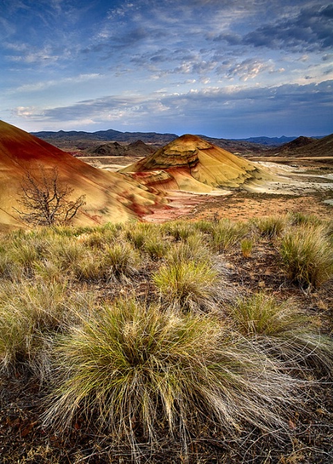 Painted Hills Morning