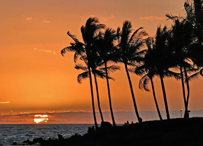Spirit of Aloha - ID: 4225123 © Jeff Robinson