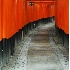© Nichole Gonzalez PhotoID # 4241226: Fushimi-Inari Shrine