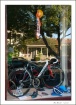 Cottage Reflectio...