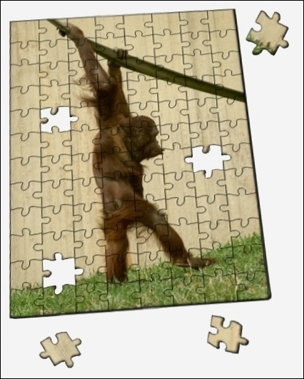 Monkey Puzzle 