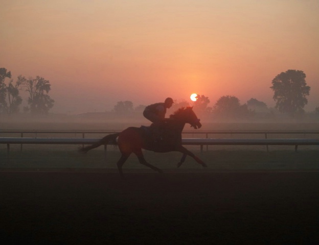 Early morning run