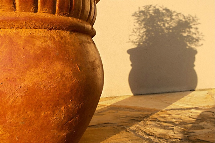 Planter and Shadow