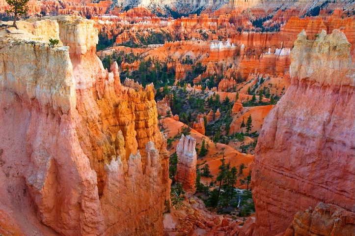 Bryce National Park 2