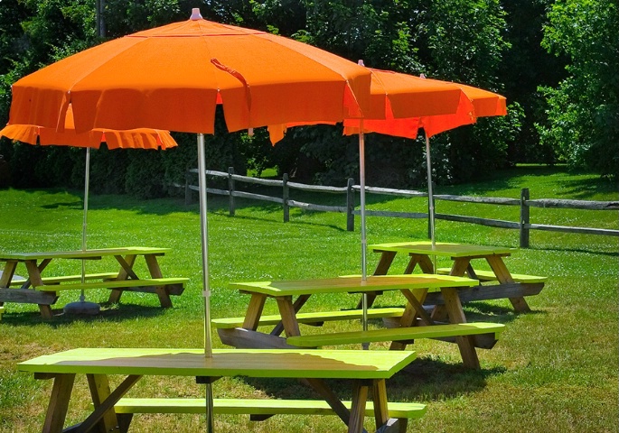 Orange umbrellas