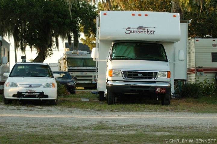 GRACIE AND TOKA IN WINTER HAVEN, FL - ID: 4255406 © SHIRLEY MARGUERITE W. BENNETT