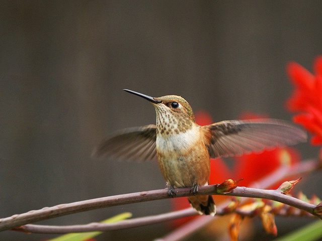 Preparing For Take Off