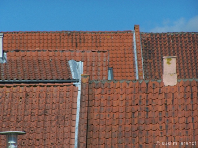 Roofs Two©