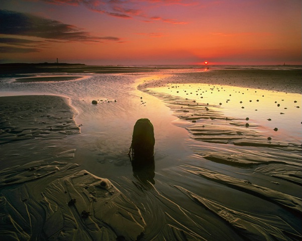 Lossiemouth Blush