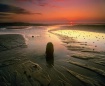 Lossiemouth Blush