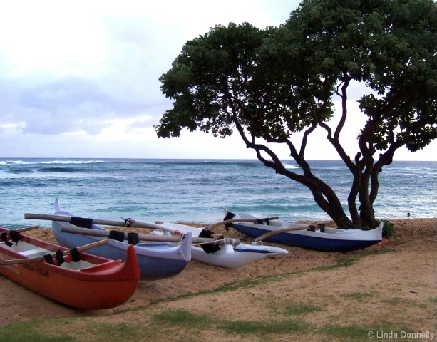 Kauai Beach boats