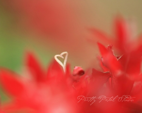 Heart II