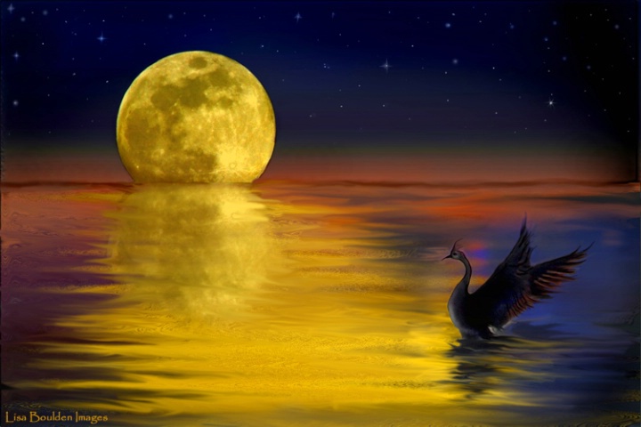 Moonrise Fantasy (2)