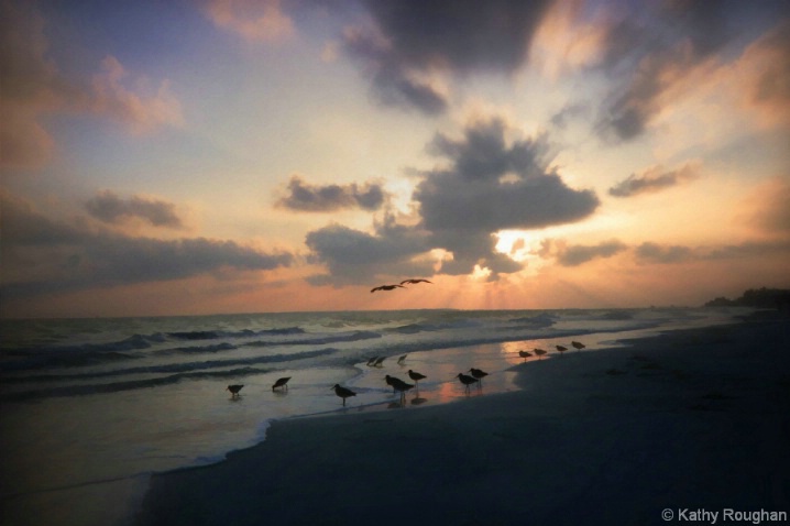 Seagulls at Sunset 