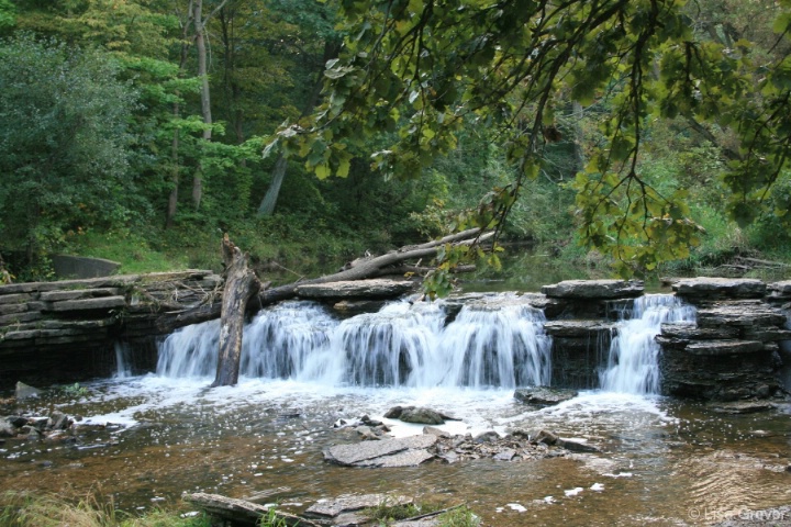 Waterfall at Waterfall Glen