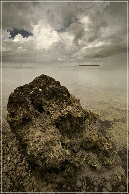 Sepia Seascape