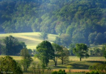 Cades Cove