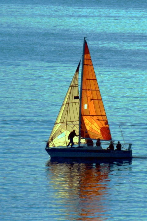 Late Day Sailing