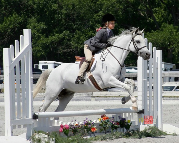 Jumping Beauty